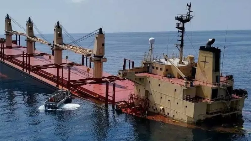 نفوق للكائنات البحرية واضرار بملايين الدولارات.. الكشف عن تداعيات غرق روبيمار 