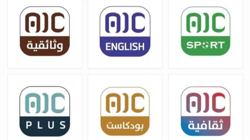 قطاع الإذاعة والتلفزيون الجنوبي يطلق 6 منصات متخصصة على مواقع التواصل الاجتماعي