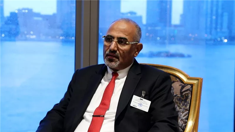 نجاح سياسي جديد.. الرئيس الزُبيدي يطرح قضية الجنوب أمام مجلس الأمن الدولي 