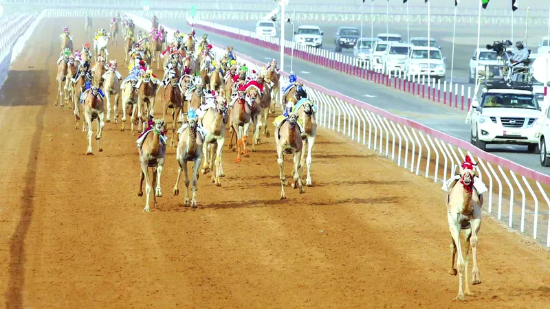 مهرجان العين لسباقات الهجن.. نافذة جديدة للحفاظ على الموروث