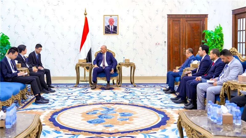 الرئيس الزُبيدي يؤكد حاجة بلادنا إلى الخبرات الصينية لإعادة تأهيل قطاع الكهرباء