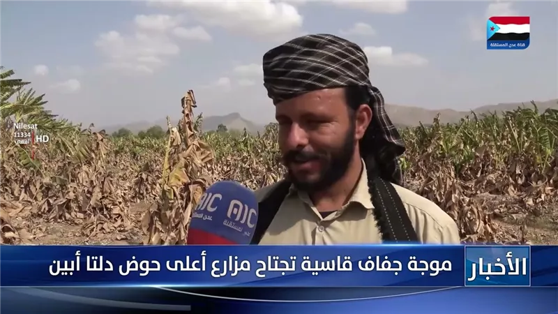 تقرير| موجة جفاف قاسية تجتاح مزارع أعلى حوض دلتا أبين
