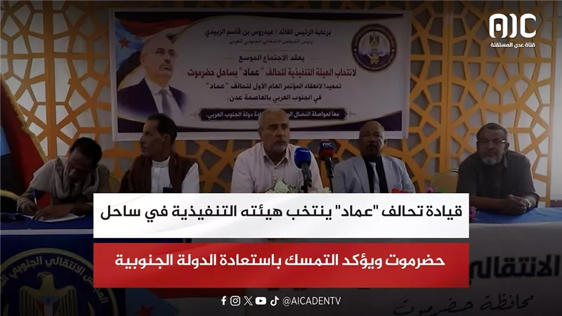 قيادة تحالف 