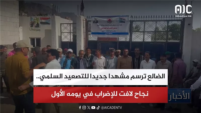 تقرير| الضالع ترسم مشهدا جديدا للتصعيد السلمي.. نجاح لافت للإضراب في يومه الأول