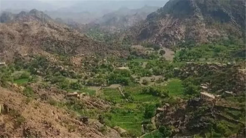 مليشيا الحوثي تستهدف أودية ومزارع المواطنين في حجر الضالع بقذائف الهاون