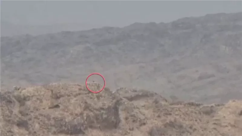 القوات المسلحة الجنوبية تستهدف تعزيزات حوثية في جبهة كرش الحدودية غربي لحج 