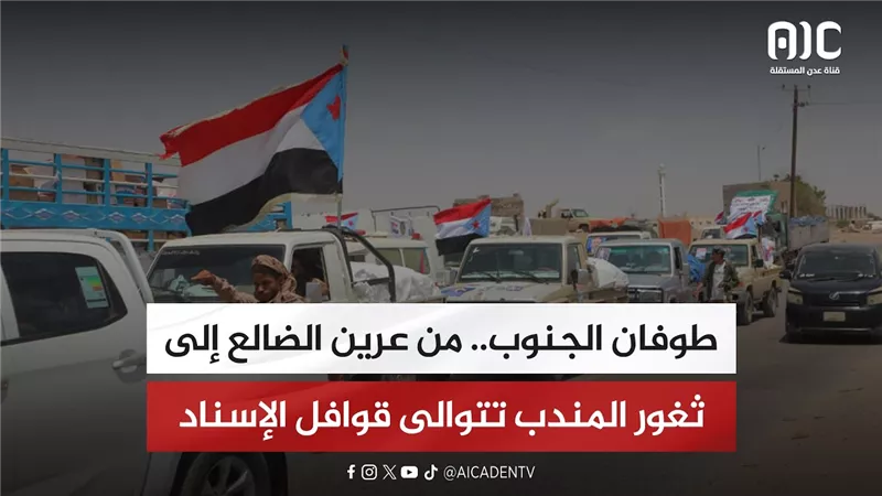 تقرير| طوفان الجنوب.. من عرين الضالع إلى ثغور المندب تتوالى قوافل الإسناد