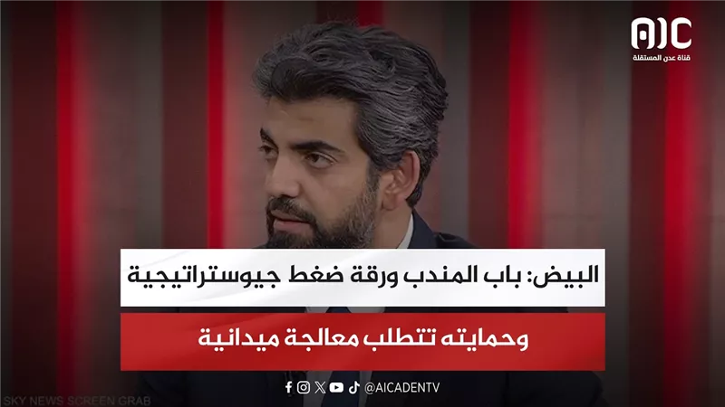 البيض: باب المندب ورقة ضغط جيوستراتيجية وحمايته تتطلب معالجة ميدانية