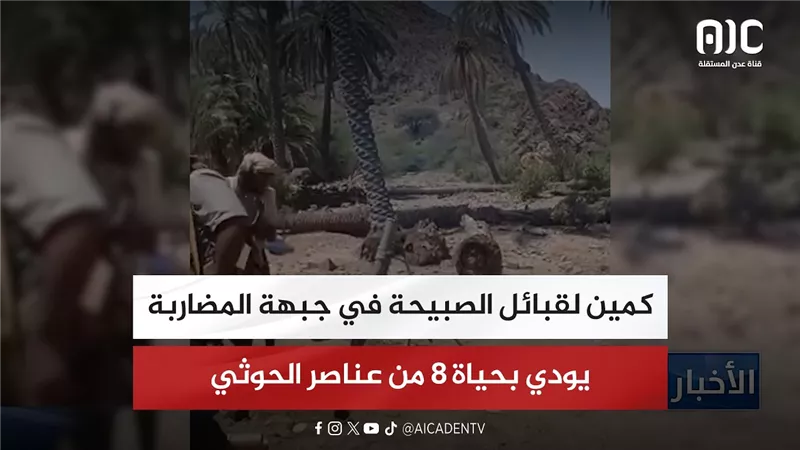 كمين لقبائل الصبيحة في جبهة المضاربة يودي بحياة 8 من عناصر الحوثي